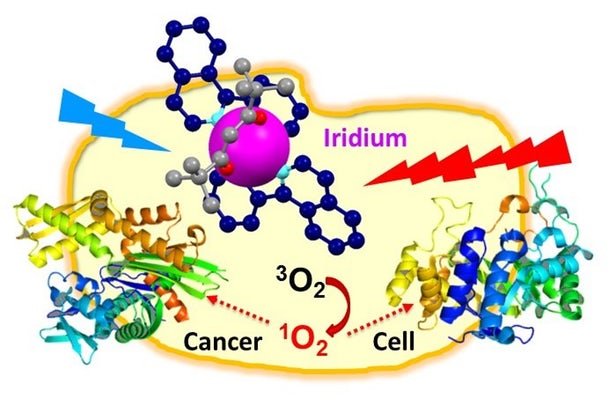 نابودی سلول سرطانی بوسیله ایریدیوم و لیزر